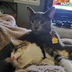 Meet your Posher, Ashley